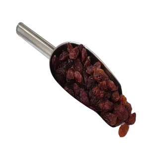 مویز