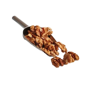 مغز گردو